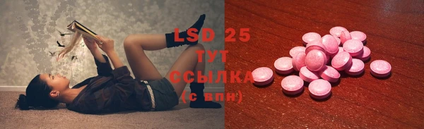 PSILOCYBIN Лиски