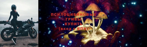 мдпв Липки