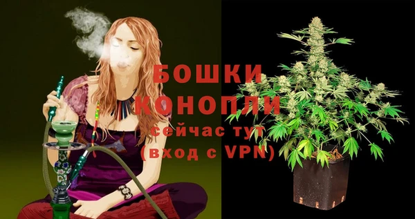 PSILOCYBIN Лиски