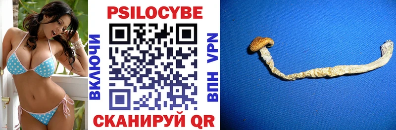 Псилоцибиновые грибы прущие грибы  Нововоронеж 