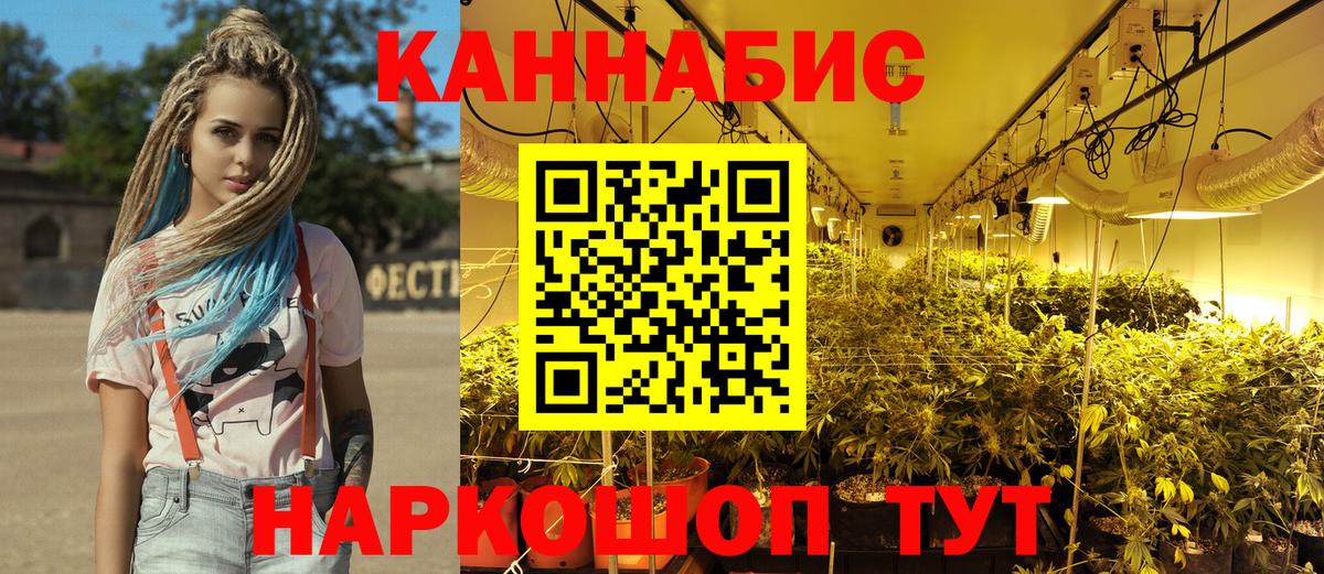 Канабис гибрид Нововоронеж